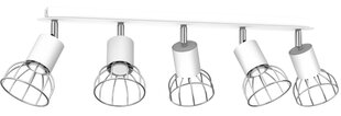 Milagro Ceiling Lamp Dante Silver 5x mini GU10 цена и информация | Потолочные светильники | pigu.lt