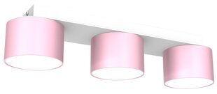 Потолочный светильник DIXIE Pink/White 3xGX53 цена и информация | Потолочные светильники | pigu.lt