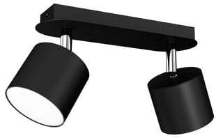 Потолочный светильник DIXIE BLACK 2xGX53 цена и информация | Потолочные светильники | pigu.lt