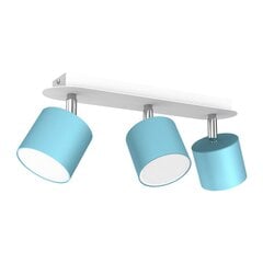 Потолочный светильник DIXIE BLUE/WHITE 3xGX53 цена и информация | Потолочные светильники | pigu.lt