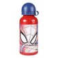Komplektas: Kuprinė ir gertuvė Spiderman 3D 23*28 cm цена и информация | Kuprinės mokyklai, sportiniai maišeliai | pigu.lt