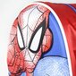 Komplektas: Kuprinė ir gertuvė Spiderman 3D 23*28 cm цена и информация | Kuprinės mokyklai, sportiniai maišeliai | pigu.lt