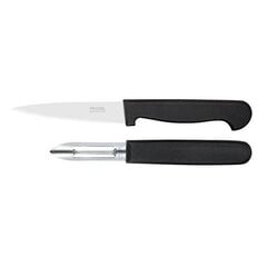 Ножи Amefa Polypro (2 шт) цена и информация | Ножи и аксессуары для них | pigu.lt