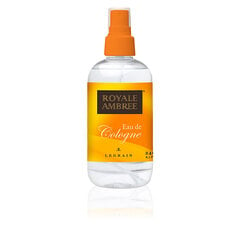 Odekolonas Royale Ambree EDC moterims, 240 ml kaina ir informacija | Kvepalai moterims | pigu.lt