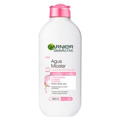 Micelinis vanduo su drėkinančiu pieneliu Garnier Skinactive, 400 ml kaina ir informacija | Veido prausikliai, valikliai | pigu.lt