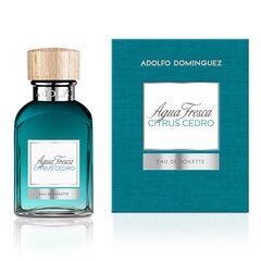 Tualetinis vanduo Adolfo Dominguez Agua Fresca Citrus Cedro EDT vyrams, 60 ml kaina ir informacija | Kvepalai vyrams | pigu.lt