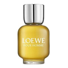 Мужская парфюмерия Loewe Loewe Pour Homme (150 мл) EDT цена и информация | Мужские духи | pigu.lt