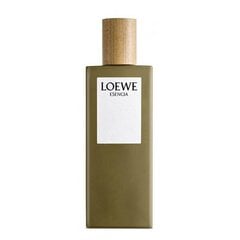 Tualetinis vanduo Loewe Esencia EDT vyrams, 100 ml kaina ir informacija | Kvepalai vyrams | pigu.lt