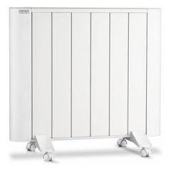 Pадиатор Haeger Thermal Smart 1000 W цена и информация | Радиаторы отопления | pigu.lt