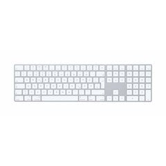 Клавиатура Apple MQ052Y/A цена и информация | Клавиатуры | pigu.lt