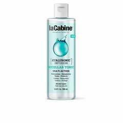 Veido tonikas laCabine Perfect Clean, 200 ml kaina ir informacija | Veido prausikliai, valikliai | pigu.lt