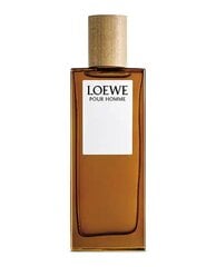 Tualetinis vanduo Loewe Pour Homme EDT vyrams, 100 ml kaina ir informacija | Loewe Kvepalai, kosmetika | pigu.lt