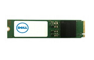 Dell AB292884 kaina ir informacija | Vidiniai kietieji diskai (HDD, SSD, Hybrid) | pigu.lt