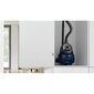 Bosch BGS21X320 kaina ir informacija | Dulkių siurbliai | pigu.lt