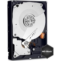 Western Digital Black, 3.5'', 1TB, SATA/600, 7200RPM, 64MB cache (WD1003FZEX) цена и информация | Внутренние жёсткие диски (HDD, SSD, Hybrid) | pigu.lt