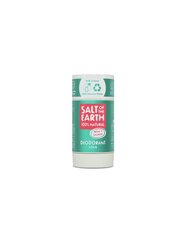 Pieštukinis dezodorantas Salt Of the Earth Melon and Cucumber Deo, 84g цена и информация | Дезодоранты | pigu.lt