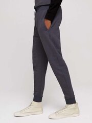 Мужские спортивные брюки Tom Tailor 1029034*28625, тёмно-синие цена и информация | Мужская спортивная одежда | pigu.lt
