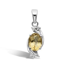 Серебряный (925) кулон с драгоценными камнями цена и информация | Женское колье | pigu.lt