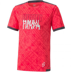 Marškinėliai berniukams Puma Neymar 60559508 kaina ir informacija | Marškinėliai berniukams | pigu.lt