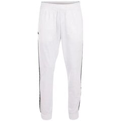 Брюки спортивные мужские Kappa Jelge Pants M 310013 11-0601 цена и информация | Мужская спортивная одежда | pigu.lt