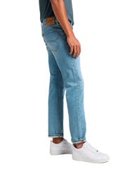 Джинсы мужские Lee BFNG333531 цена и информация | Мужские джинсы | pigu.lt