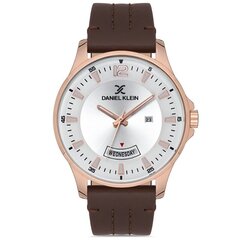 Мужские часы Daniel Klein DK.1.12870-4 цена и информация | Мужские часы | pigu.lt