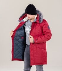 Мужская куртка David 907174691, темно-красная. цена и информация | Женские куртки | pigu.lt
