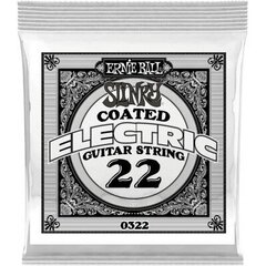 Styga elektrinei gitarai .022 Ernie Ball P00322 kaina ir informacija | Priedai muzikos instrumentams | pigu.lt