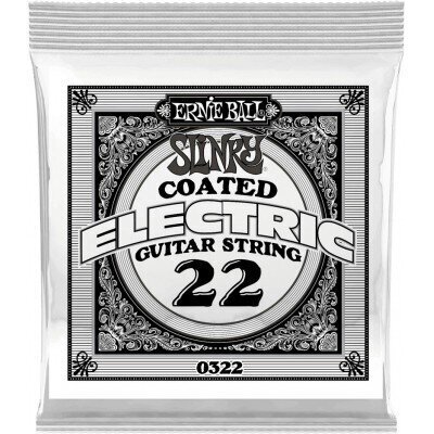 Styga elektrinei gitarai .022 Ernie Ball P00322 цена и информация | Priedai muzikos instrumentams | pigu.lt