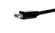 Mini DP DisplayPort - HDMI- Adapteris - kabelis цена и информация | Adapteriai, USB šakotuvai | pigu.lt