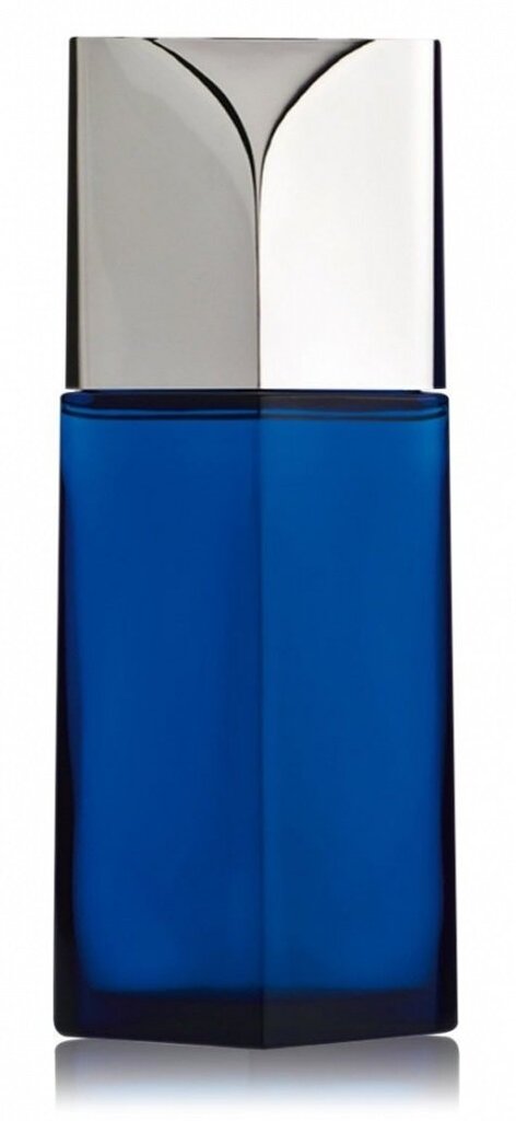 Tualetinis vanduo Issey Miyake L'Eau Bleue d'Issey Pour Homme, EDT, vyrams, 125 ml цена и информация | Kvepalai vyrams | pigu.lt