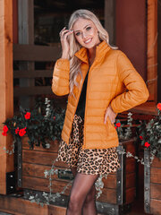 Демисезонная куртка, CLR008, темно-желтая цена и информация | Женские куртки | pigu.lt