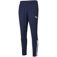 Sportinės kelnės vyrams Puma Team Liga Training Pants M 657242, mėlynos цена и информация | Мужская спортивная одежда | pigu.lt