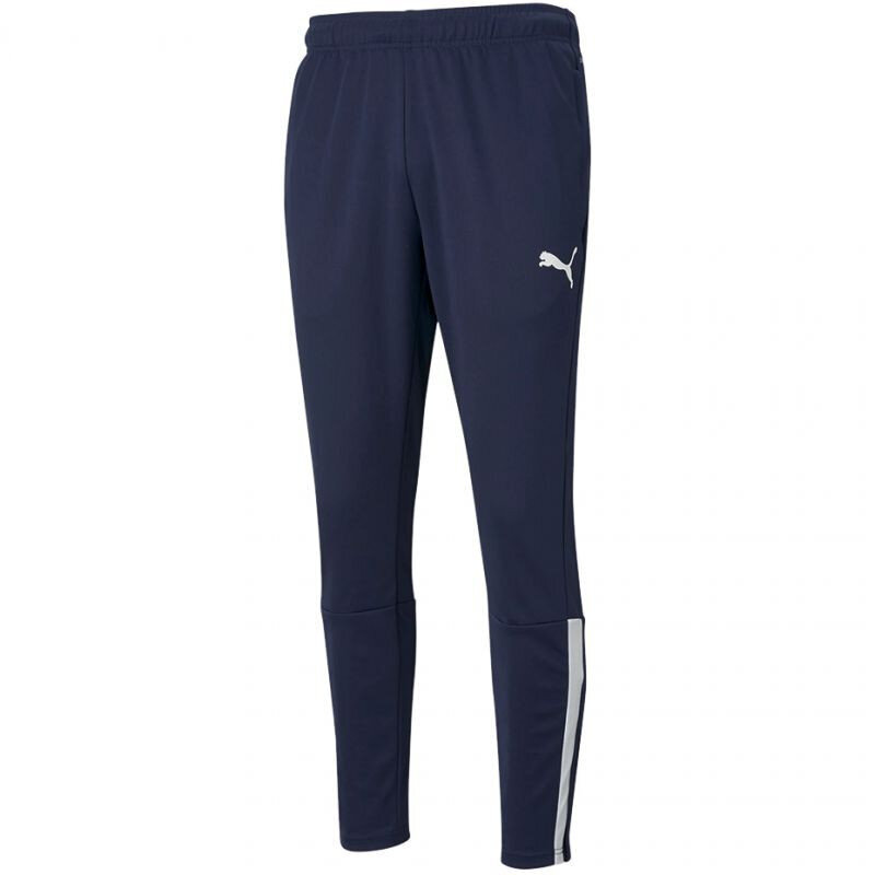 Sportinės kelnės vyrams Puma Team Liga Training Pants M 657242, mėlynos цена и информация | Sportinė apranga vyrams | pigu.lt