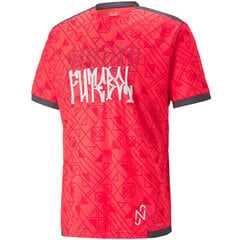Футболка для мальчиков Puma Neymar  цена и информация | Рубашка для мальчиков | pigu.lt