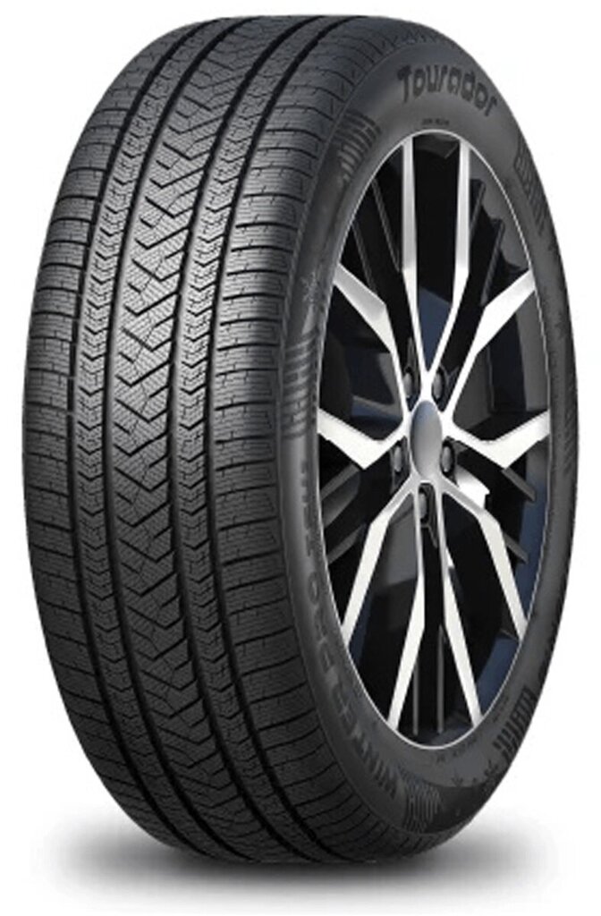 Tourador WINTER PRO Max 215/45R17 91 V kaina ir informacija | Žieminės padangos | pigu.lt