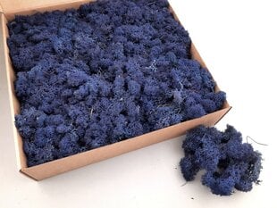 Stabilizuota samana Royal Blue, 1 kg цена и информация | Спящие стабилизированные розы, растения | pigu.lt