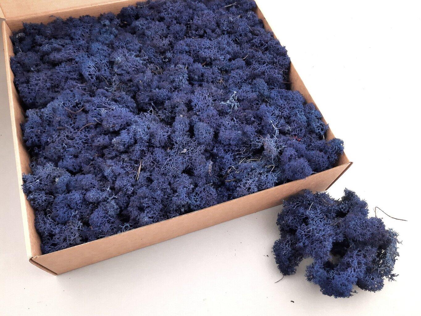 Stabilizuota samana Royal Blue, 1 kg kaina ir informacija | Miegančios rožės, stabilizuoti augalai | pigu.lt