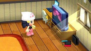Pokemon: Shining Pearl (Switch) kaina ir informacija | Kompiuteriniai žaidimai | pigu.lt
