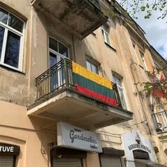 Lietuvos vėliava balkonui su raišteliais kaina ir informacija | Vėliavos ir jų priedai | pigu.lt