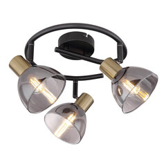 Lubinis šviestuvas Globo Lighting Jay G54305-3 kaina ir informacija | Lubiniai šviestuvai | pigu.lt