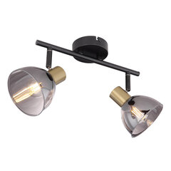 Светильник Globo Lighting Jay G54305-2 цена и информация | Настенные светильники | pigu.lt