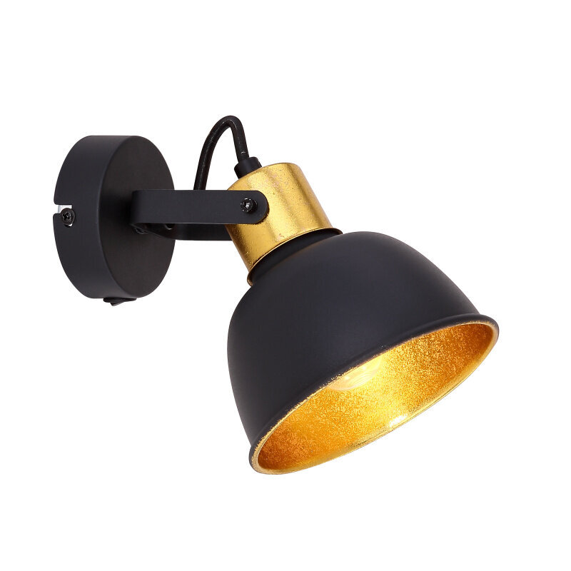 Dėmesio centre Globo Lighting FILLO G54655-1 kaina ir informacija | Sieniniai šviestuvai | pigu.lt