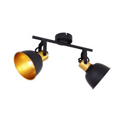 Светильник Globo Lighting Fillo G54655-2 цена и информация | Настенные светильники | pigu.lt