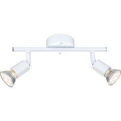 Светильник Globo Lighting Olana G57381-2L цена и информация | Настенные светильники | pigu.lt