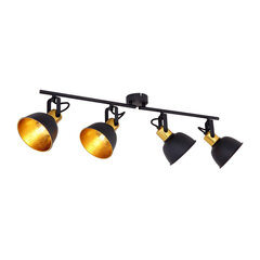 Globo Lighting šviestuvas Fillo G54655-4 kaina ir informacija | Lubiniai šviestuvai | pigu.lt