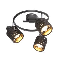 Светильник Globo Lighting Troy G54121-3 цена и информация | Потолочные светильники | pigu.lt