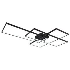 Потолочный светильник Globo Lighting Gabriel G67227-100B цена и информация | Потолочные светильники | pigu.lt