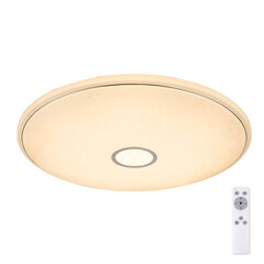 Потолочный светильник Globo Lighting Connor G41386-80 цена и информация | Потолочные светильники | pigu.lt