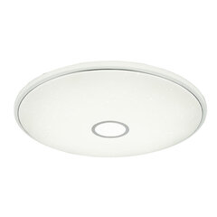 Потолочный светильник Globo Lighting Connor G41386-80 цена и информация | Потолочные светильники | pigu.lt